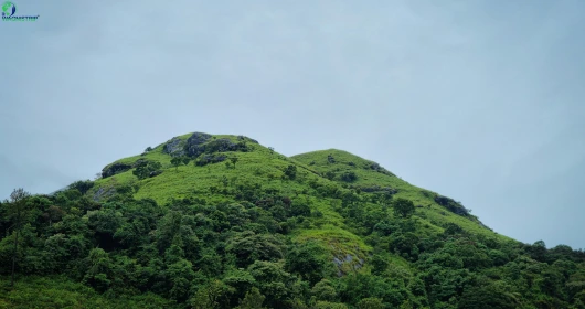 Baba Budangiri Trek